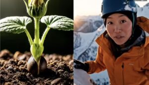 Google’s AI Video Generator Veo 3 Adds 1080P and Vertical Video Support, Prices Slashed
